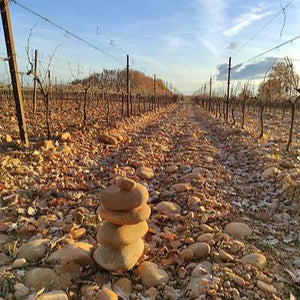 
                  
                    L'Espinassiere Côtes du Rhône Villages Rouge Grenache Syrah 2023  - Domaine Lespina (VOORVERKOOP)
                  
                