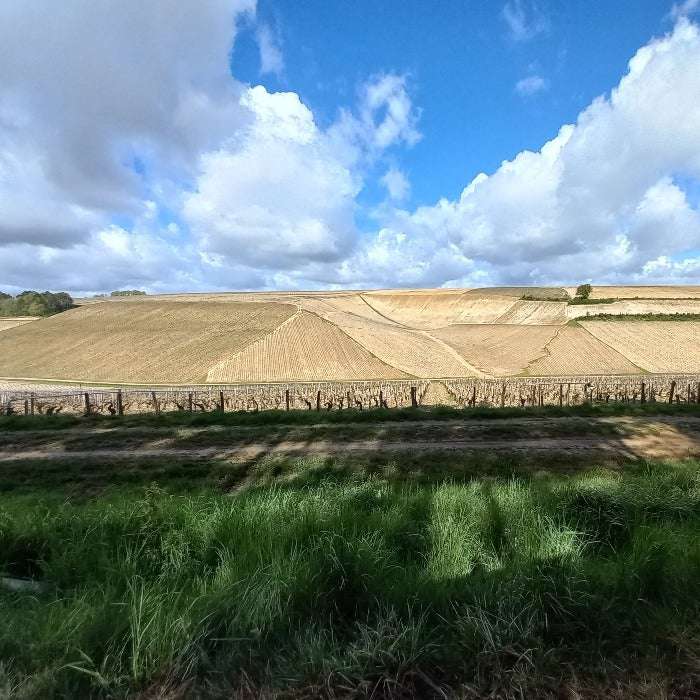 
                  
                    Christophe Patrice Chablis Premier Cru 2023 "Beauroy"
                  
                