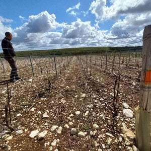 
                  
                    Christophe Patrice Petit Chablis 2023
                  
                