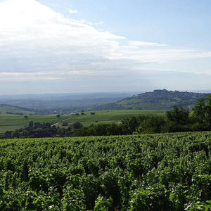 
                  
                    Sancerre 2018 Sauvignon Blanc "Cuvee Ortus" - Hippolyte Reverdy
                  
                