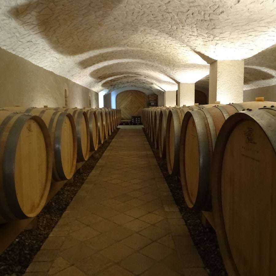 
                  
                    De caves van Hippolyte Reverdy waar de rode wijnen en cuvee ortus liggen te rijpen.
                  
                