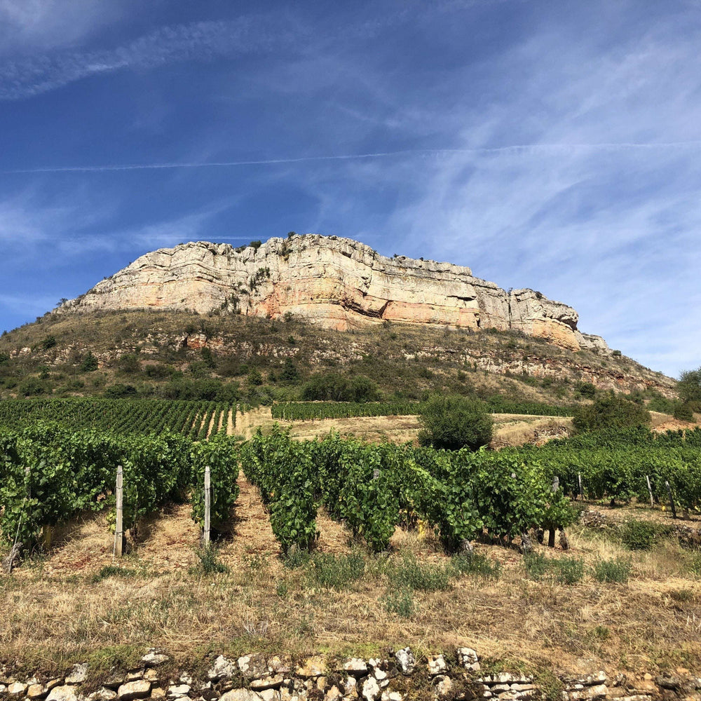 
                  
                    Roche de Vergisson vlakbij Fuisse, vlakbij de wijngaarden van David Fagot.
                  
                