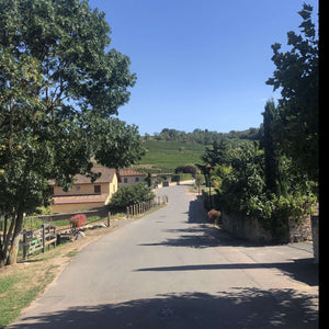 
                  
                    Macon Villages Chardonnay 2019 - David Fagot
                  
                