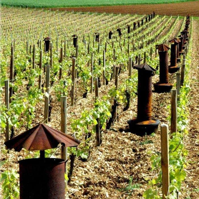 
                  
                    Christophe Patrice Chablis Premier Cru 2023 "Beauroy"
                  
                