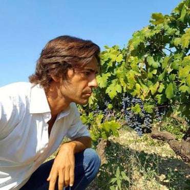 
                  
                    Cignomoro Puglia "30 Vecchie Vigne" Bianco d'Alessano 2017
                  
                